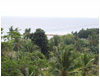 Second Image