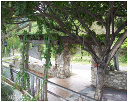 Boljoon Cafe
