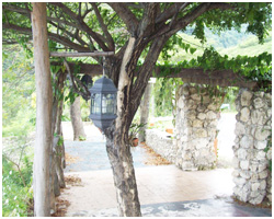 Boljoon Cafe