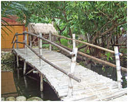 Mediong Image