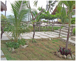 Mediong Image