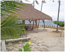Mediong Image