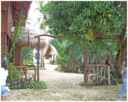 Mediong Image