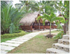 Mediong Image