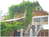 Mediong Image