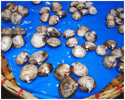 Carcar Market