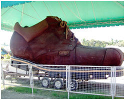 Carcar Shoe