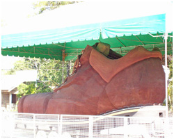 Carcar Shoe
