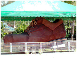 Carcar Shoe
