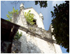 Sfchurch Image