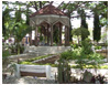 Talisay Image